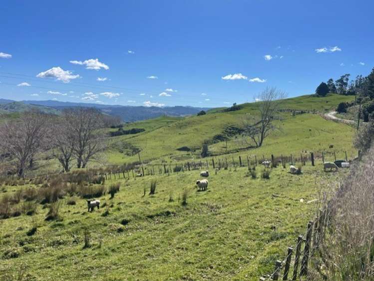 1845 Kanakanaia Road Whatatutu_5