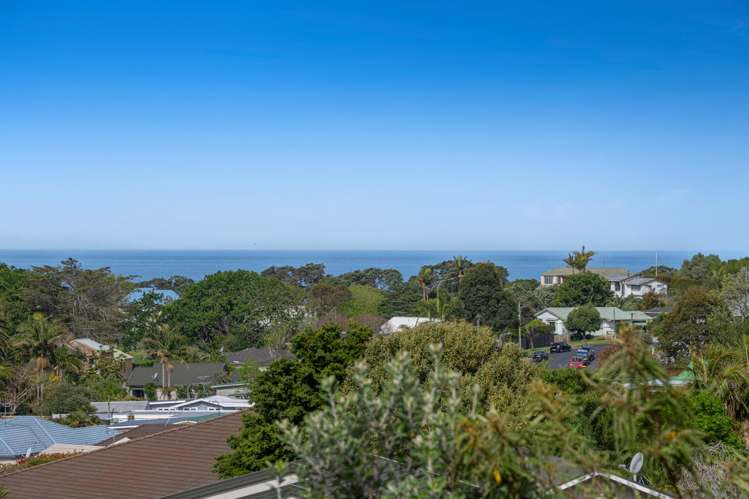 29a Little Barrier Avenue Manly_26