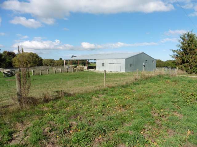 399 Gualter Road Geraldine_4