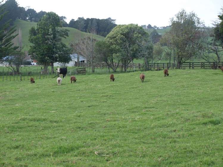 983 Maungakaramea Road Maungakaramea_29