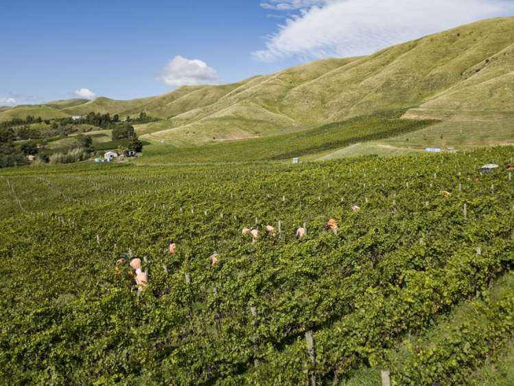 149 Wrekin Road Fairhall_24