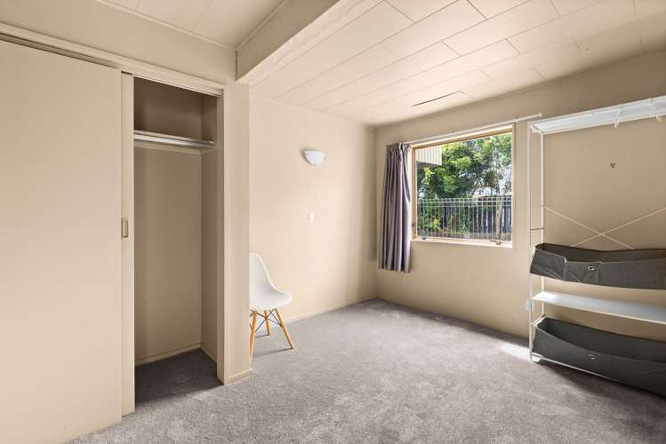 102 Freyberg Avenue Tamatea_12