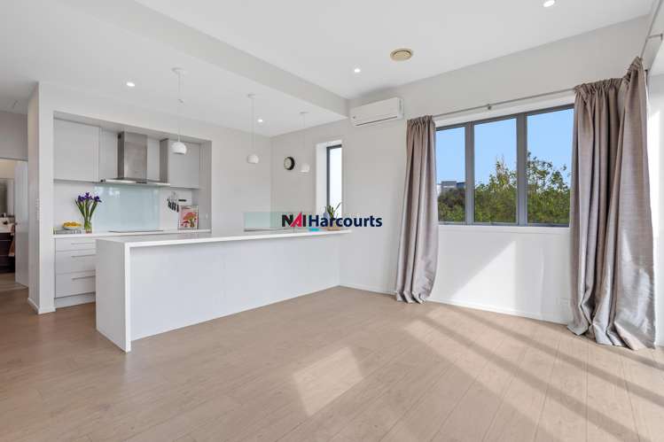 D1/18 Oteha Valley Road Extension Albany_1