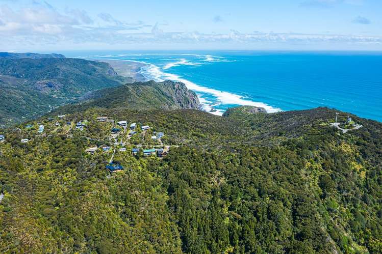 23 Log Race Road Piha_22