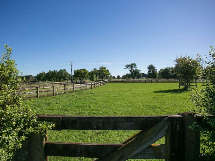 15 Beer Road Tauwhare_17