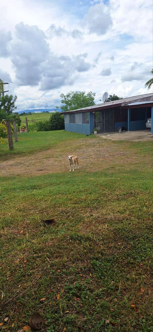 Lot 11 Nacovi, Sonaisali Nadi_1