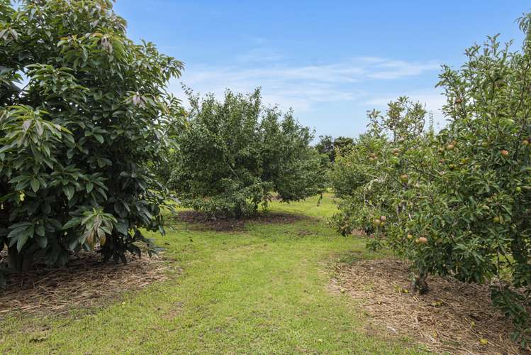 704a Ngunguru Road Glenbervie_19