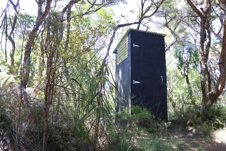 Whaanga Road Raglan_19