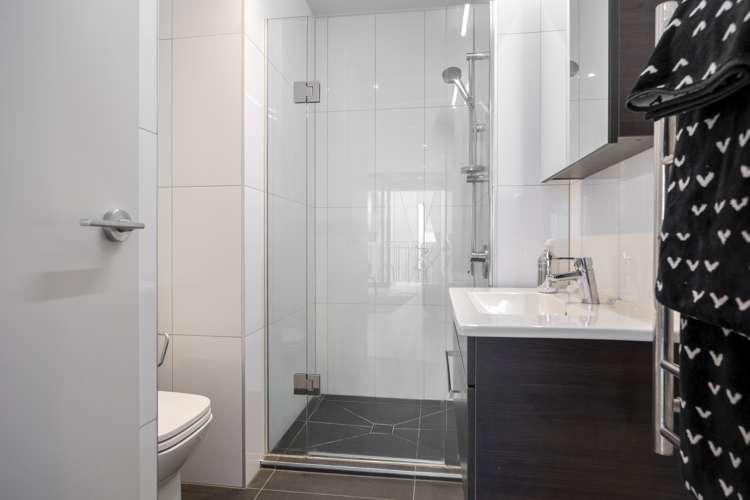 101/2 Vinegar Lane Grey Lynn_12