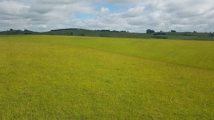 31 Whitiker Road Clinton and Surrounds_5