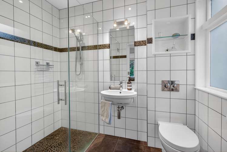 31 Nikau Street Eastbourne_18