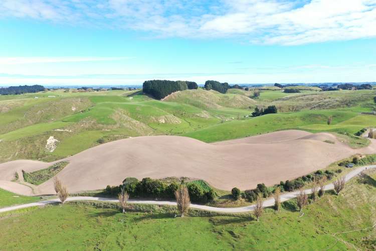 810 Spur Road Ashhurst_11