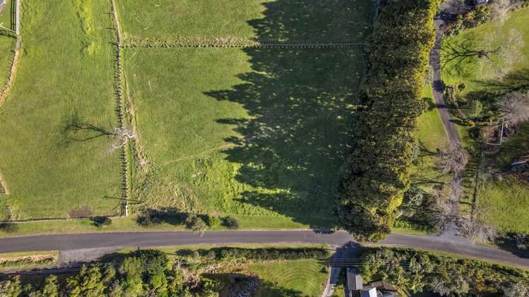 60 Saxton Road Upper Vogeltown_9