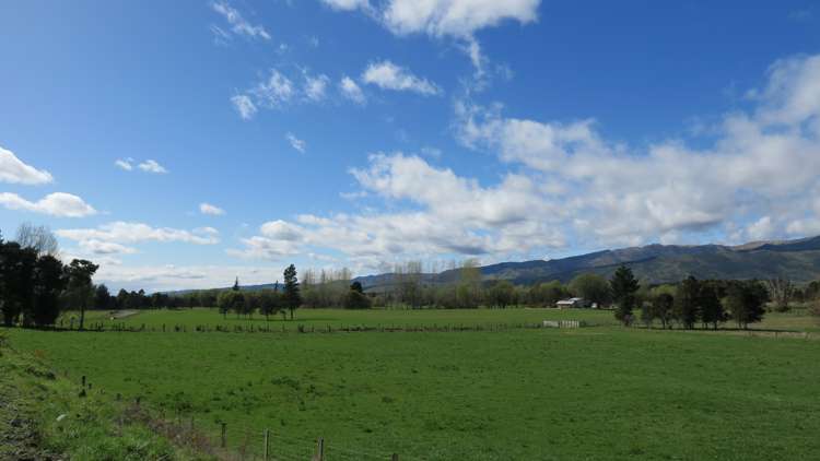 3957 Northbank Road Wairau Valley_38