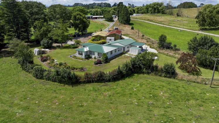 62 Ngamotu Road Rerewhakaaitu_8