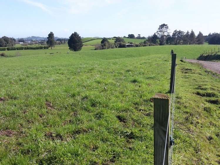 346 Rugby Road Tariki_56