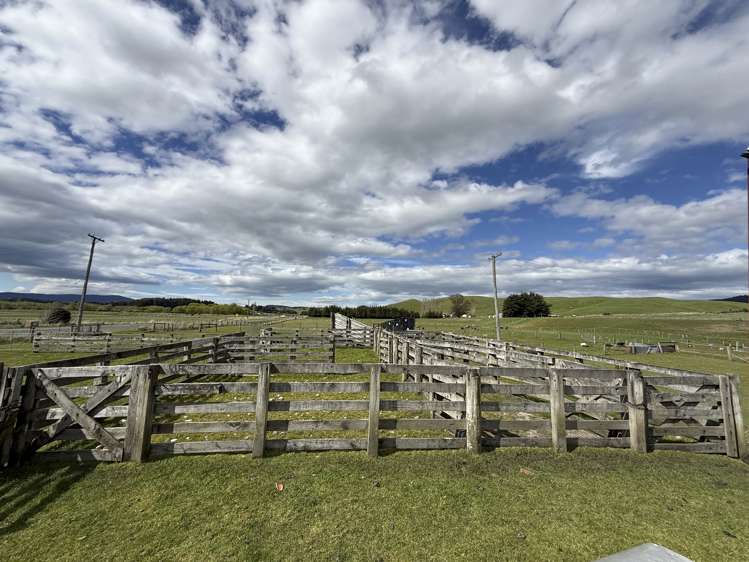 2207 Otautau Tuatapere Road Pukemaori_15