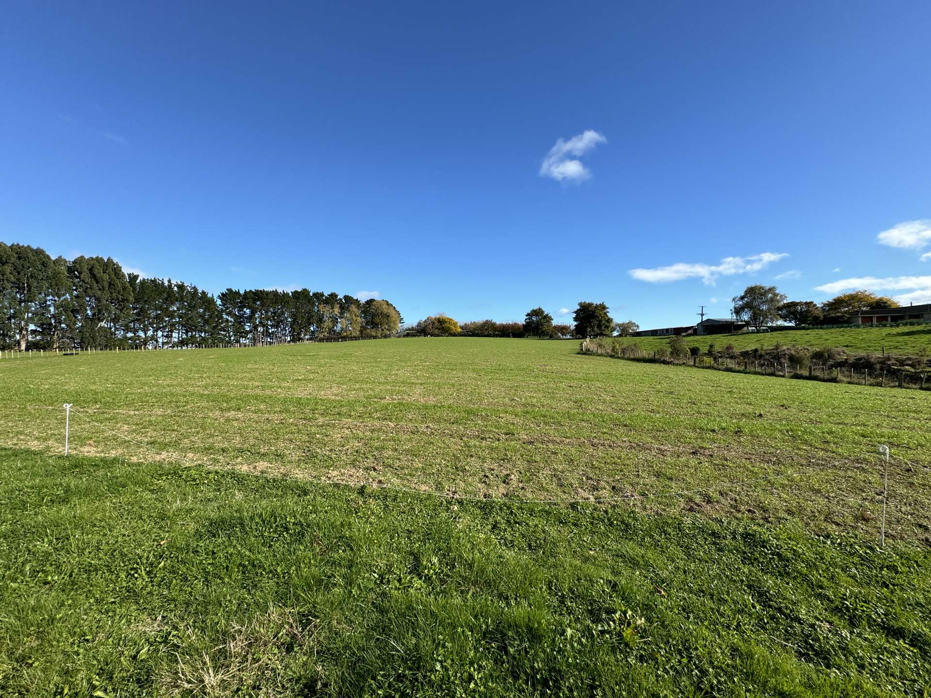 37 and 39 Tavistock Road Koputaroa_0