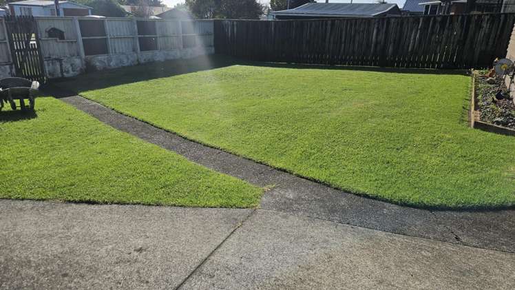 2 Saxton Road Upper Vogeltown_9