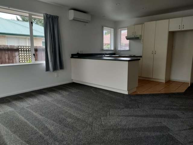 57A Opawa Road Waltham_1