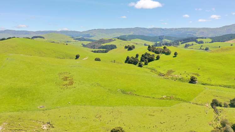 83 Towai Road Dannevirke_40