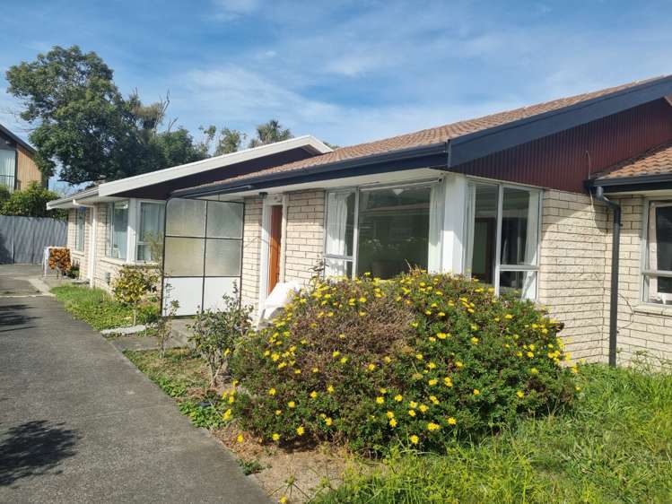 3/20 Geraldine Street Edgeware_14