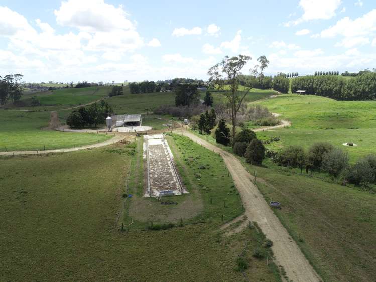 70c Manion Lane Morrinsville_6