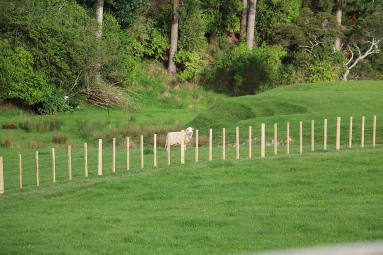 165 Albert Road Tokomaru_3