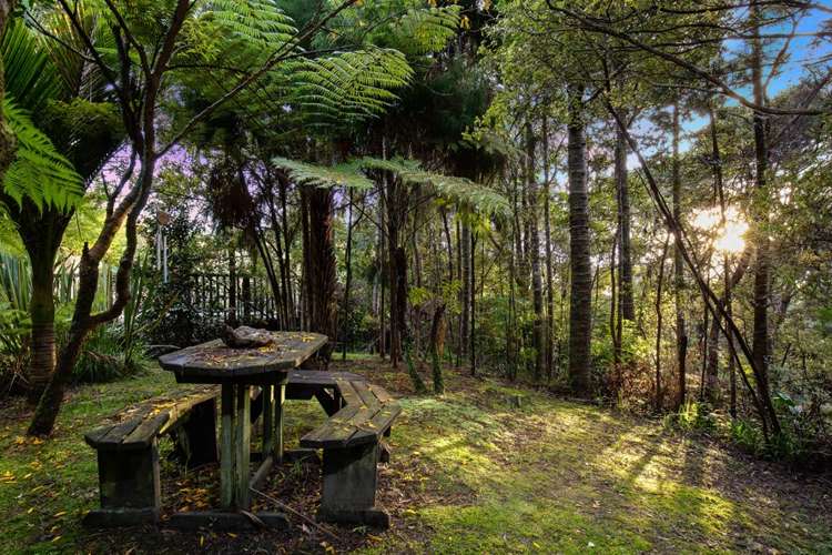 83a Colwill Road Massey_17