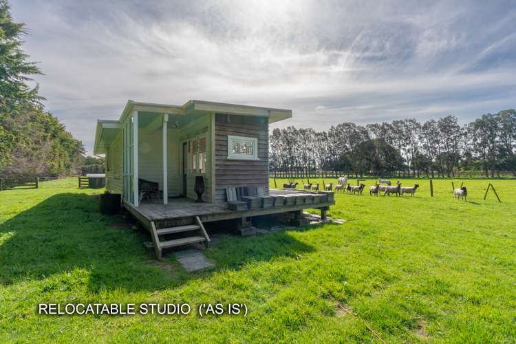 48 Elizabeth Street Waikanae_57