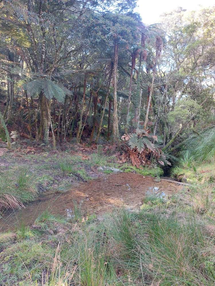Lot 2/2084 Waiare Road Kaeo_6