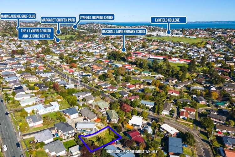 56a Ellis Avenue Mount Roskill_9