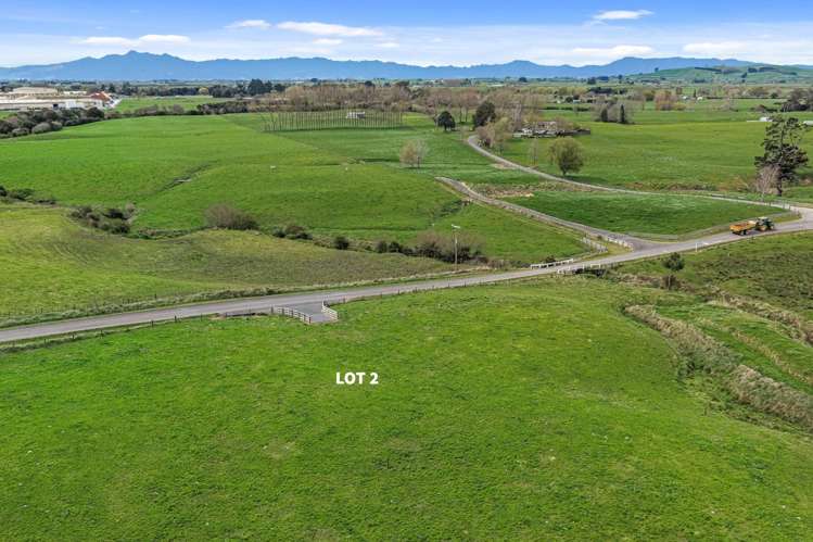 230 Scott Road Morrinsville_2