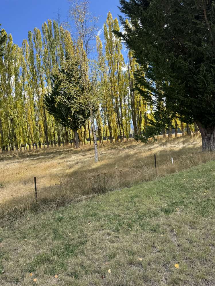 3 Omarama-Lindis Pass Road Omarama_16