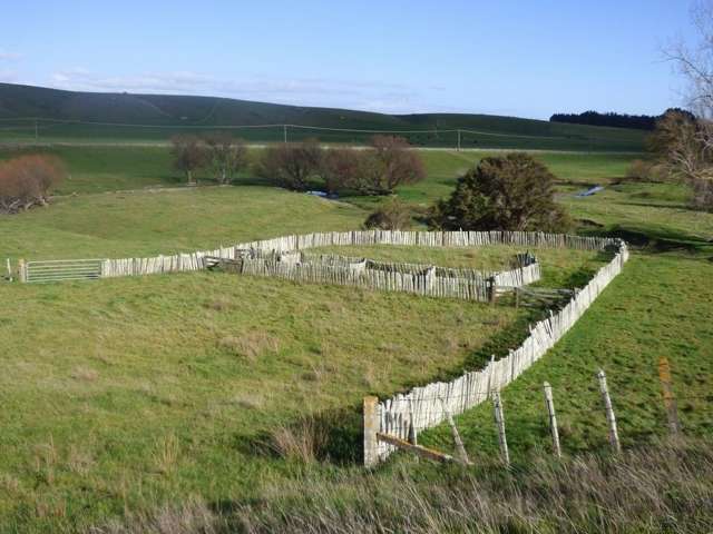 Valley Road Feilding_3