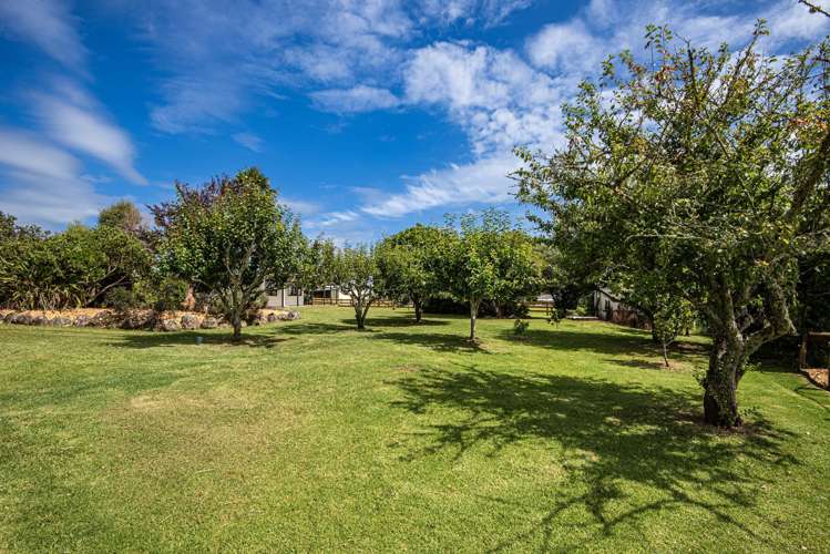 36 Draffin Road Poroti_26