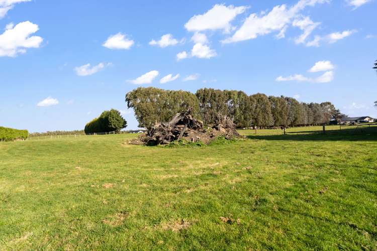 89 Matua Road Otatara_31