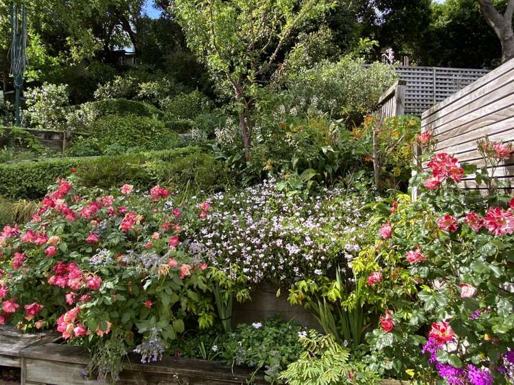 5 Kellsmere Crescent Island Bay_15