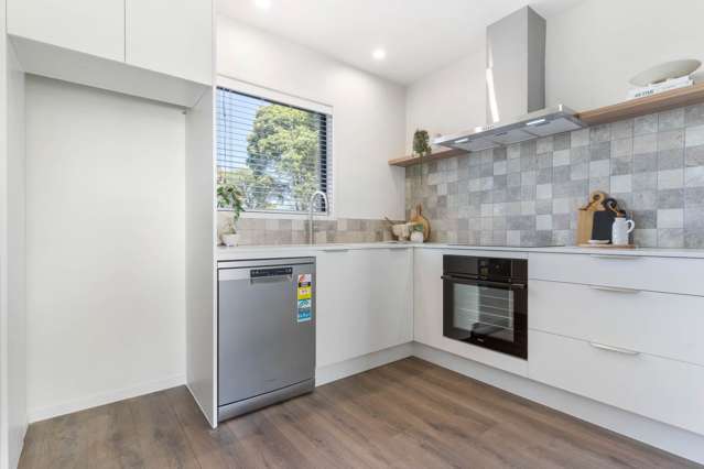 56B Nelson Street Pukekohe_1