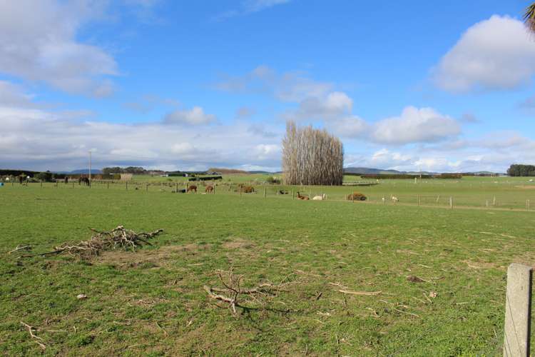 31 Lochiel Branxholme Road Winton Surrounds_13