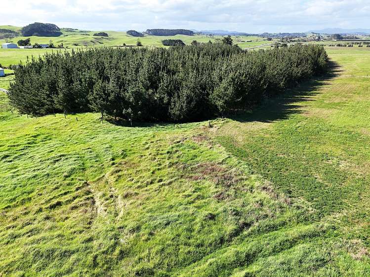 413A Baylys Coast Road Dargaville_6