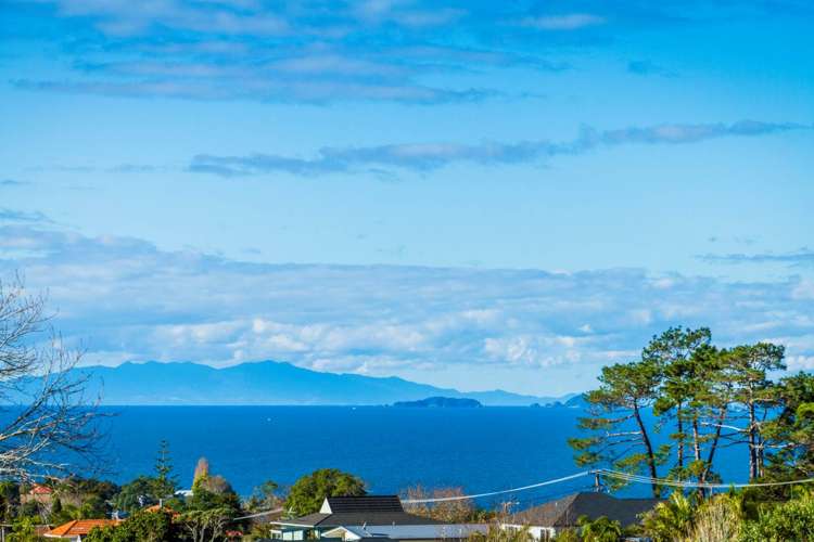 163b Kowhai Road Mairangi Bay_11