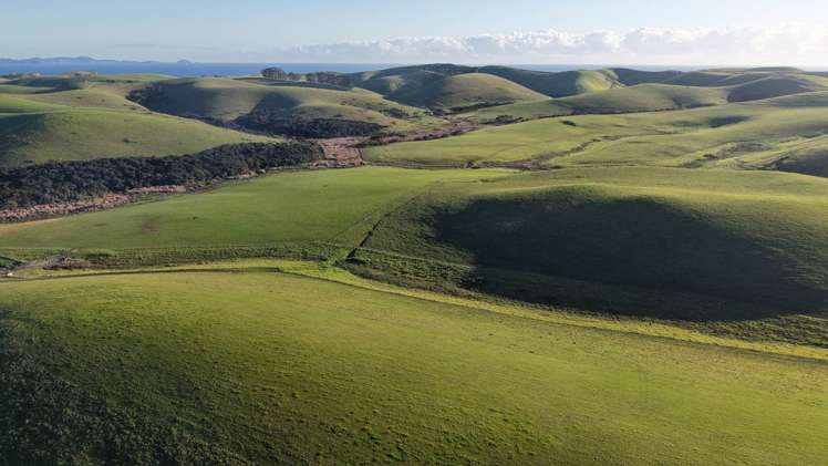 1811 Rangihoua Road Kerikeri_27