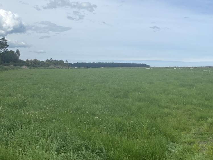 491 Waituna Gorge Road Wyndham Surrounds_18