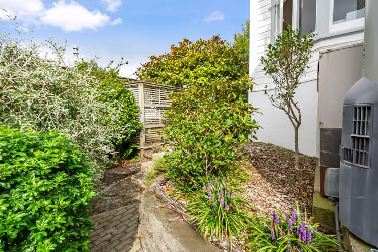 19 Selwyn Terrace Thorndon_9
