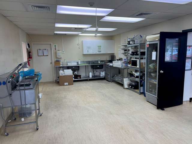 11-19 Sunnyhaven Avenue Beach Haven_1