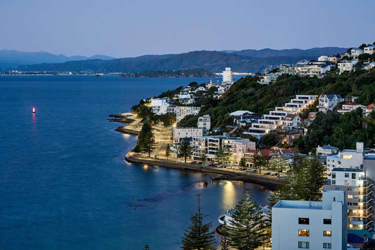 1 Moeller Street Mount Victoria_20