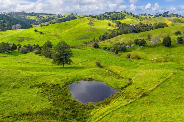 118 Paparoa Station Road Paparoa_21