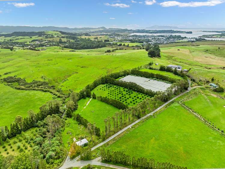 1/69 Vineyard Lane Mangawhai_10