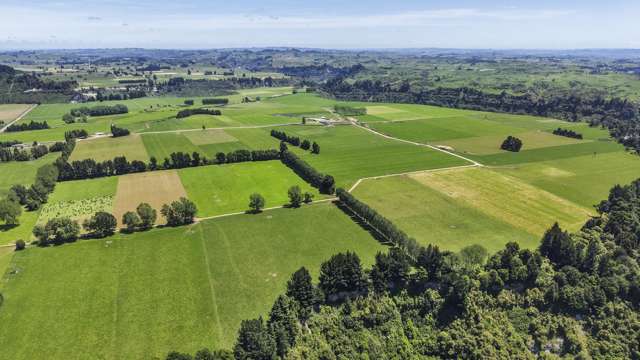 Generational Opportunities Palmerston North_3